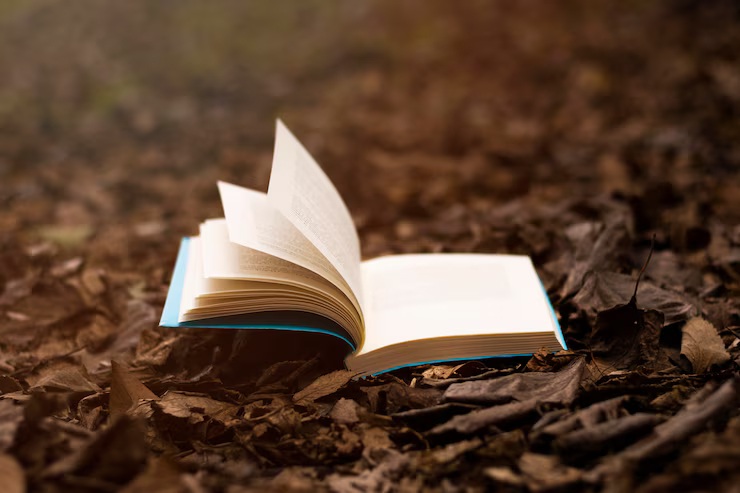 Открытая книга