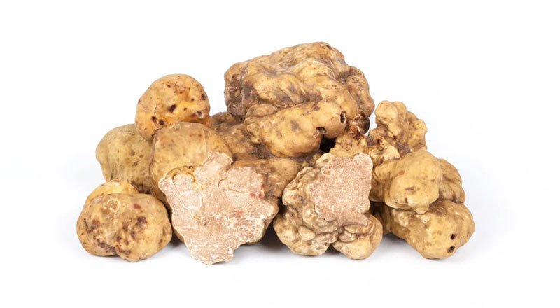 Белый трюфель